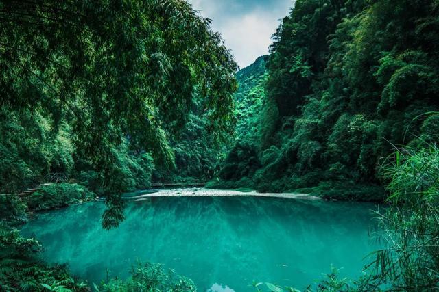 一顿浪漫晚餐