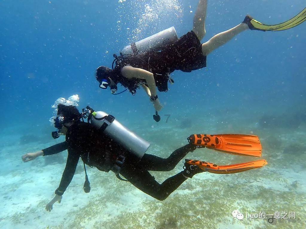 流水线灌装输送检重秤